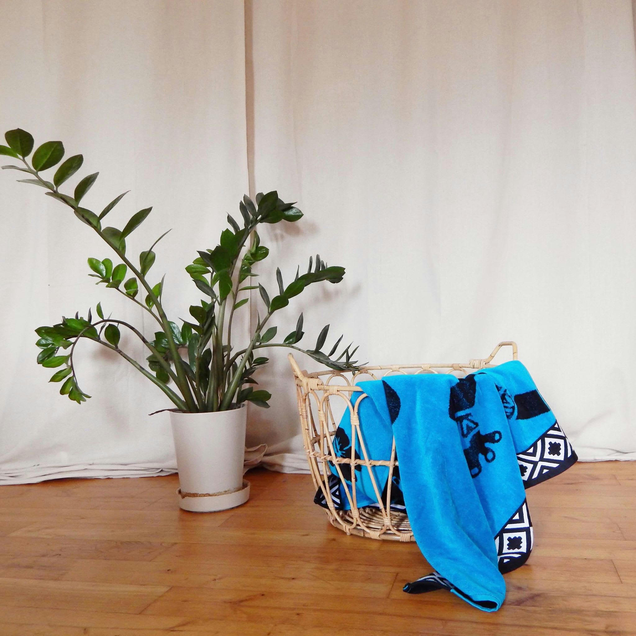 PLAGE - Serviette de plage éponge velours bleu turquoise tuko 86 x 160