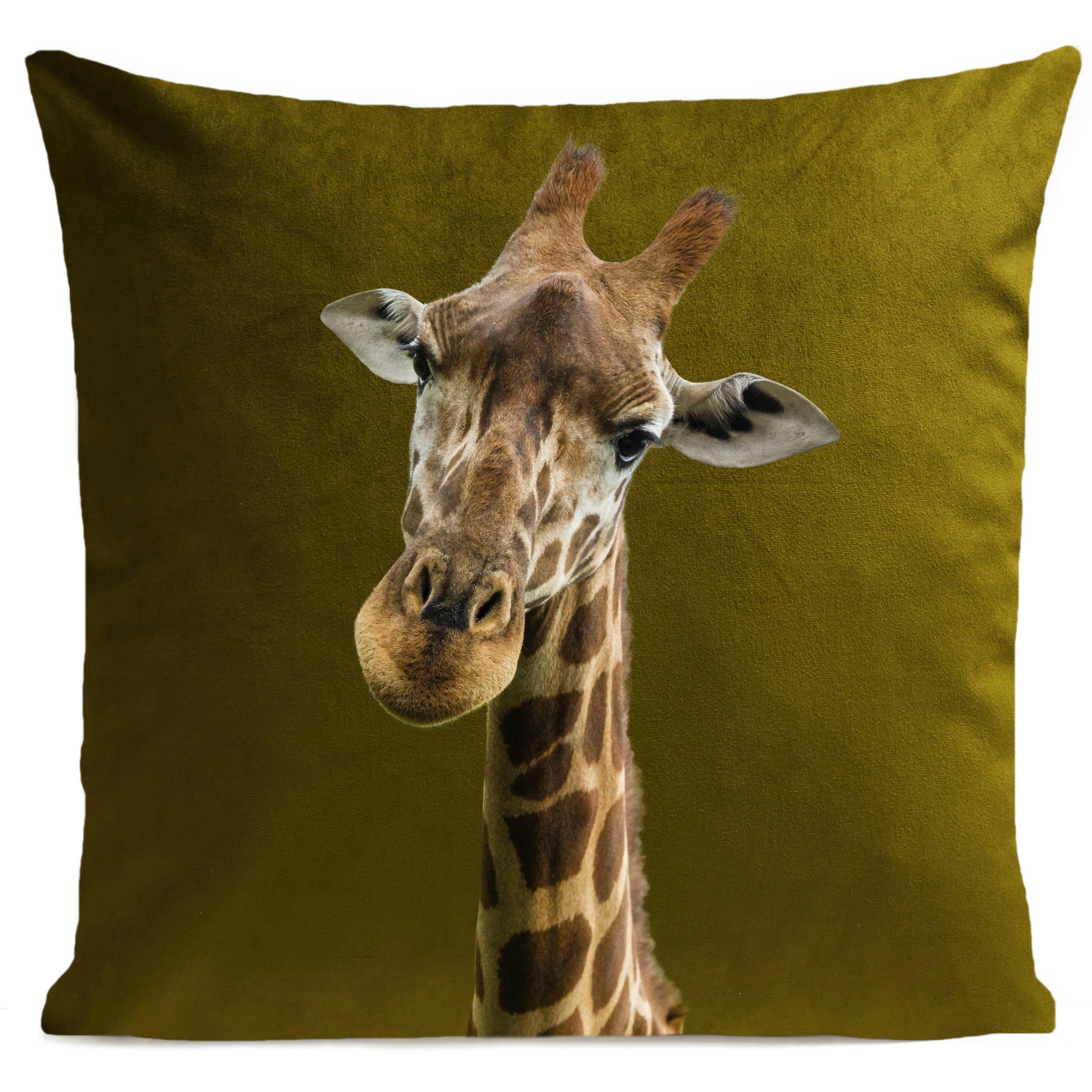 - Coussin enfant girafe suédine vert 40x40cm