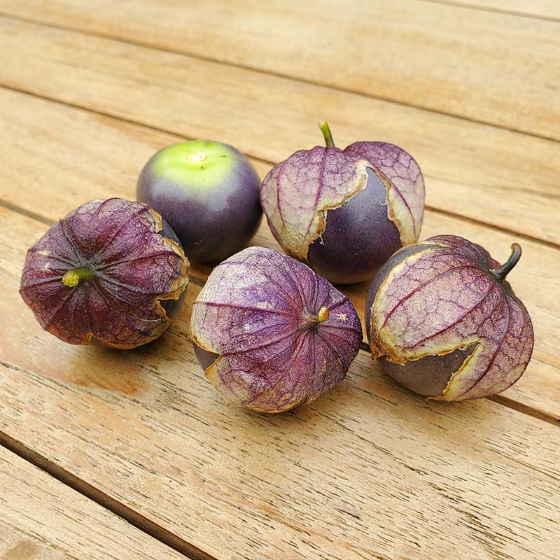 Purple Tomatillo, ekologisk