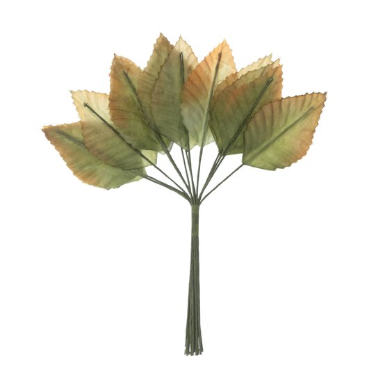 Green and Orange Rose Leaves 12 Pack