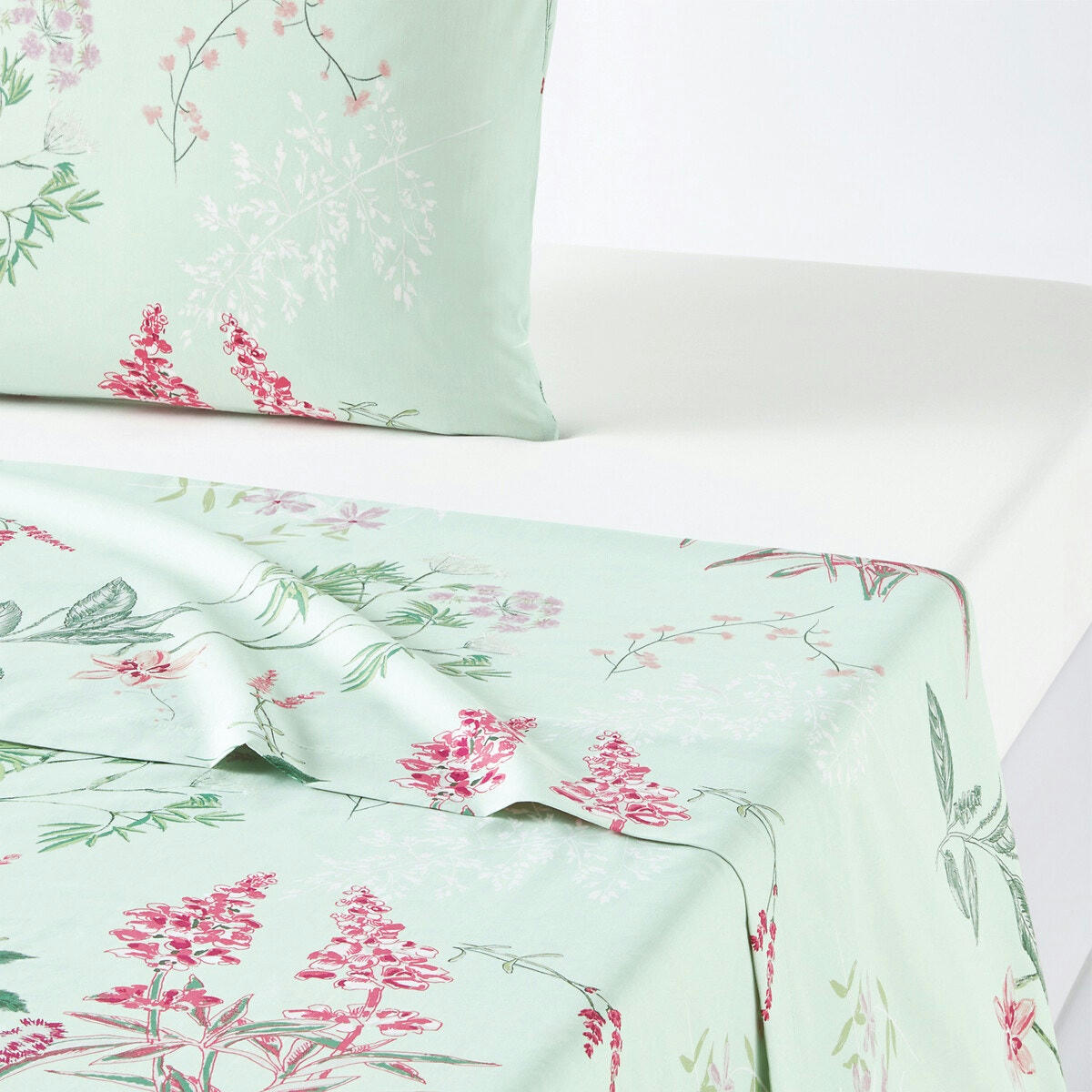 Drap plat percale de coton, Isoline