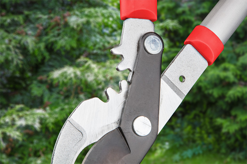 Sekator do gałęzi 690mm średnica cięcia 42mm VERTO 15G256