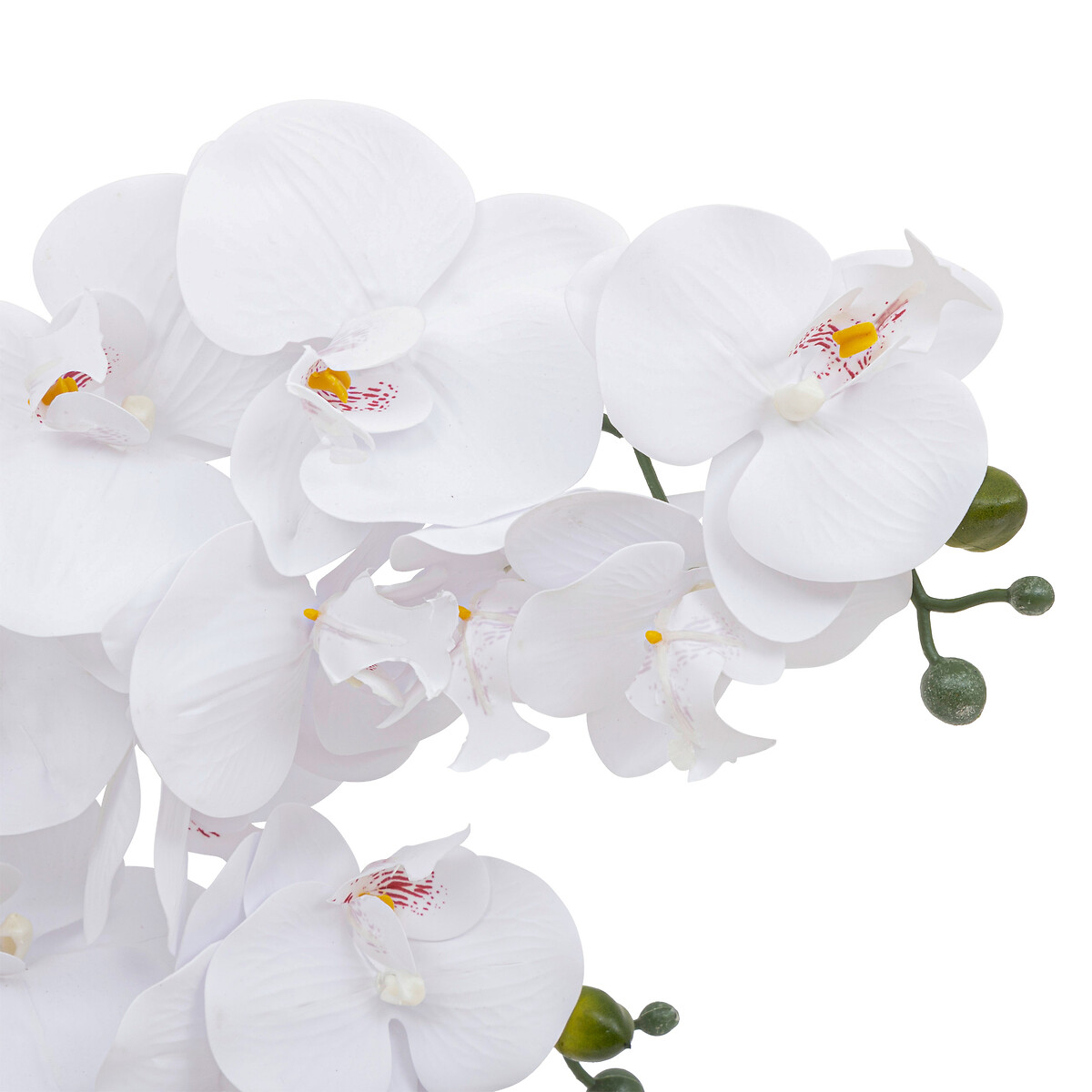 "Riva" artificial orchid Ceramic pot, H.60 cm