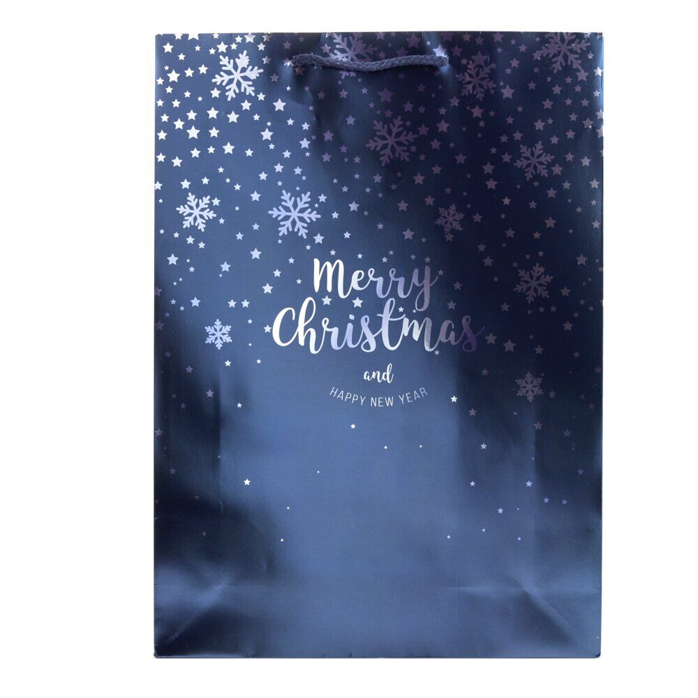 Sac cadeau No&euml;l thème boréal 33x10xH46cm (2 modèles)