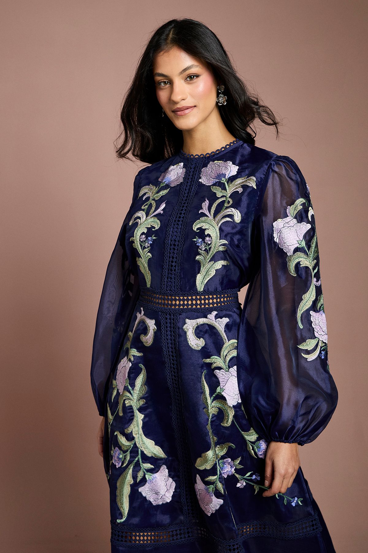 Coast Petite Blouson Sleeve Embroidered Midi Dress