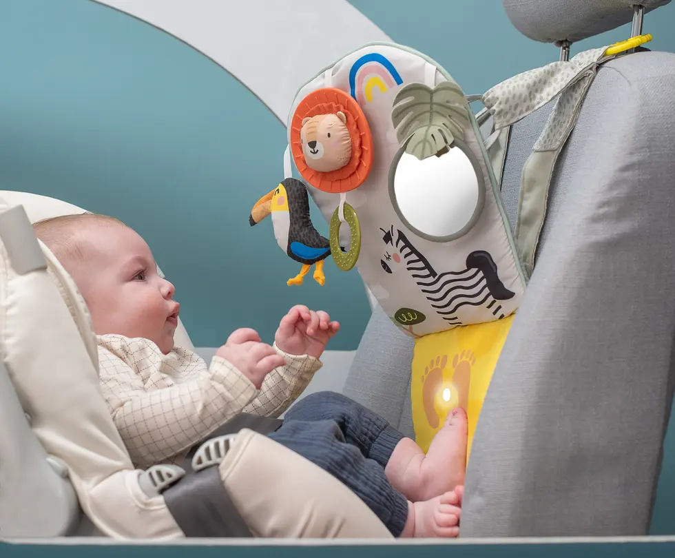 Spielzeug Taf Toys