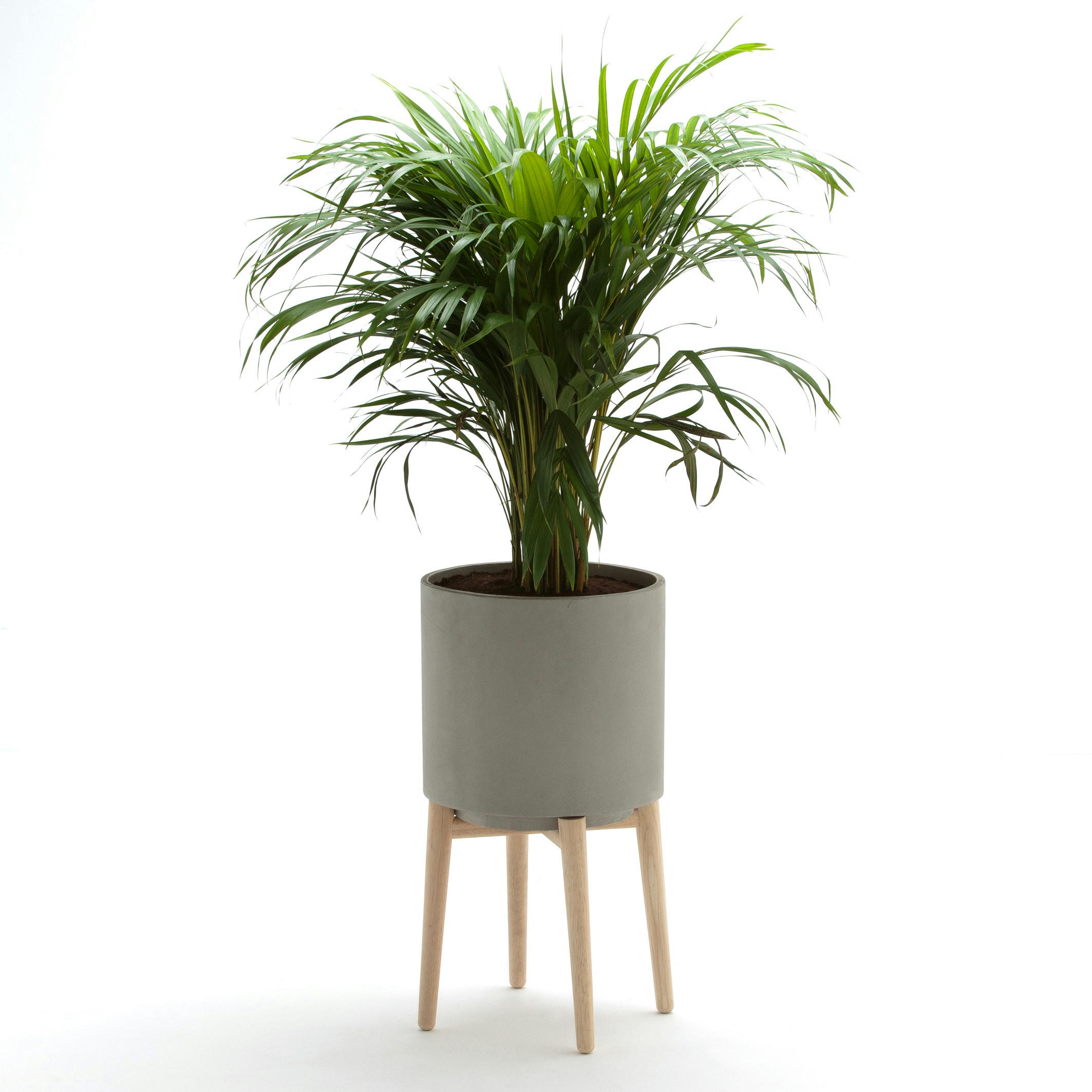 Cache-pot sur pied en hévéa H58,5cm, Florian