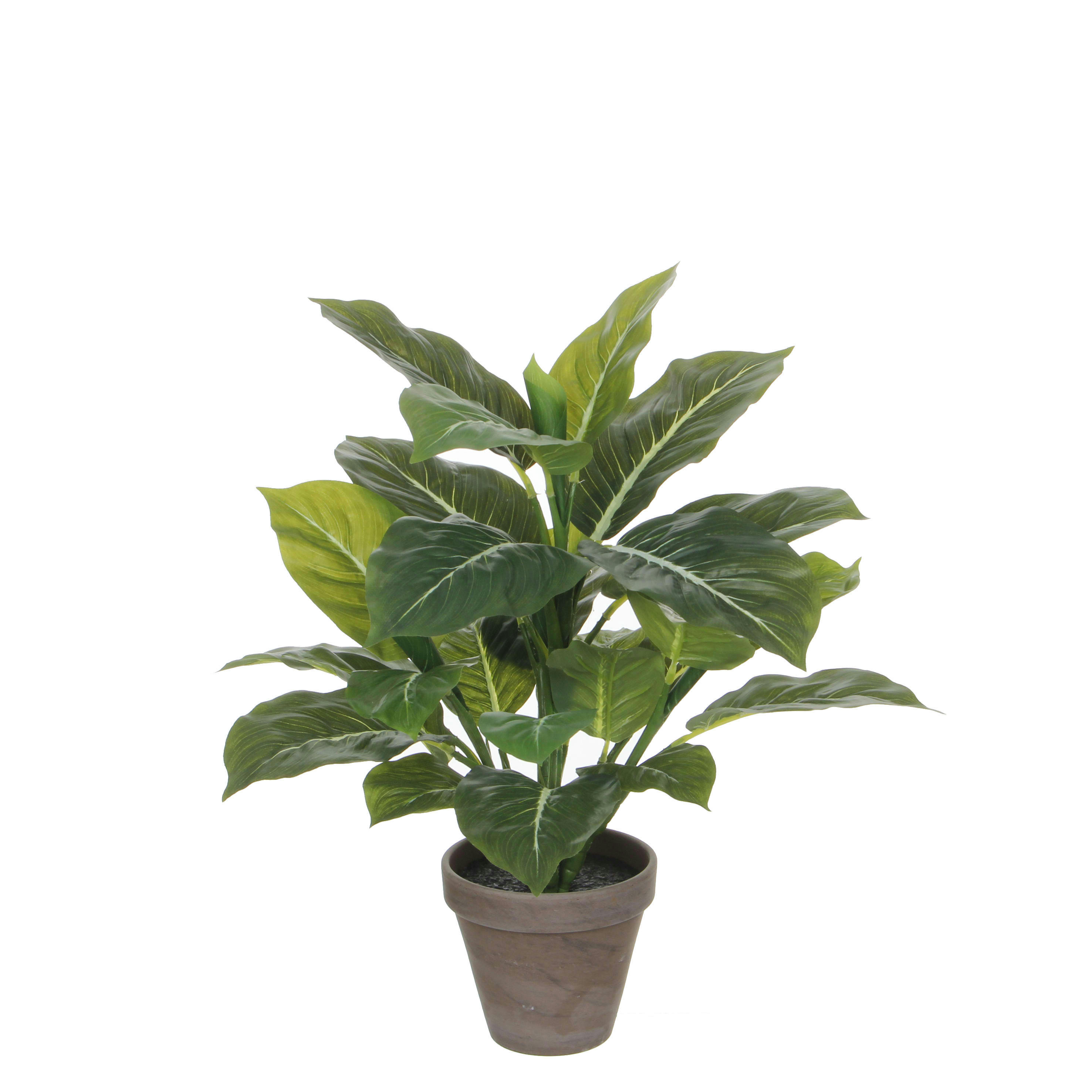 - Evergreen artificielle vert en pot H49