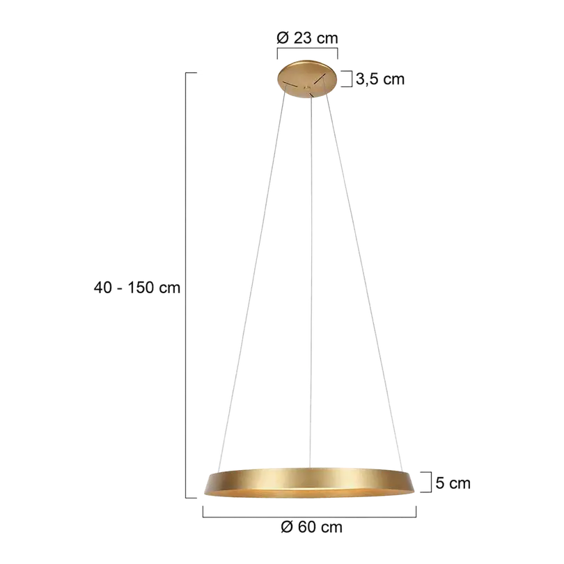 Hängeleuchte Ringlux