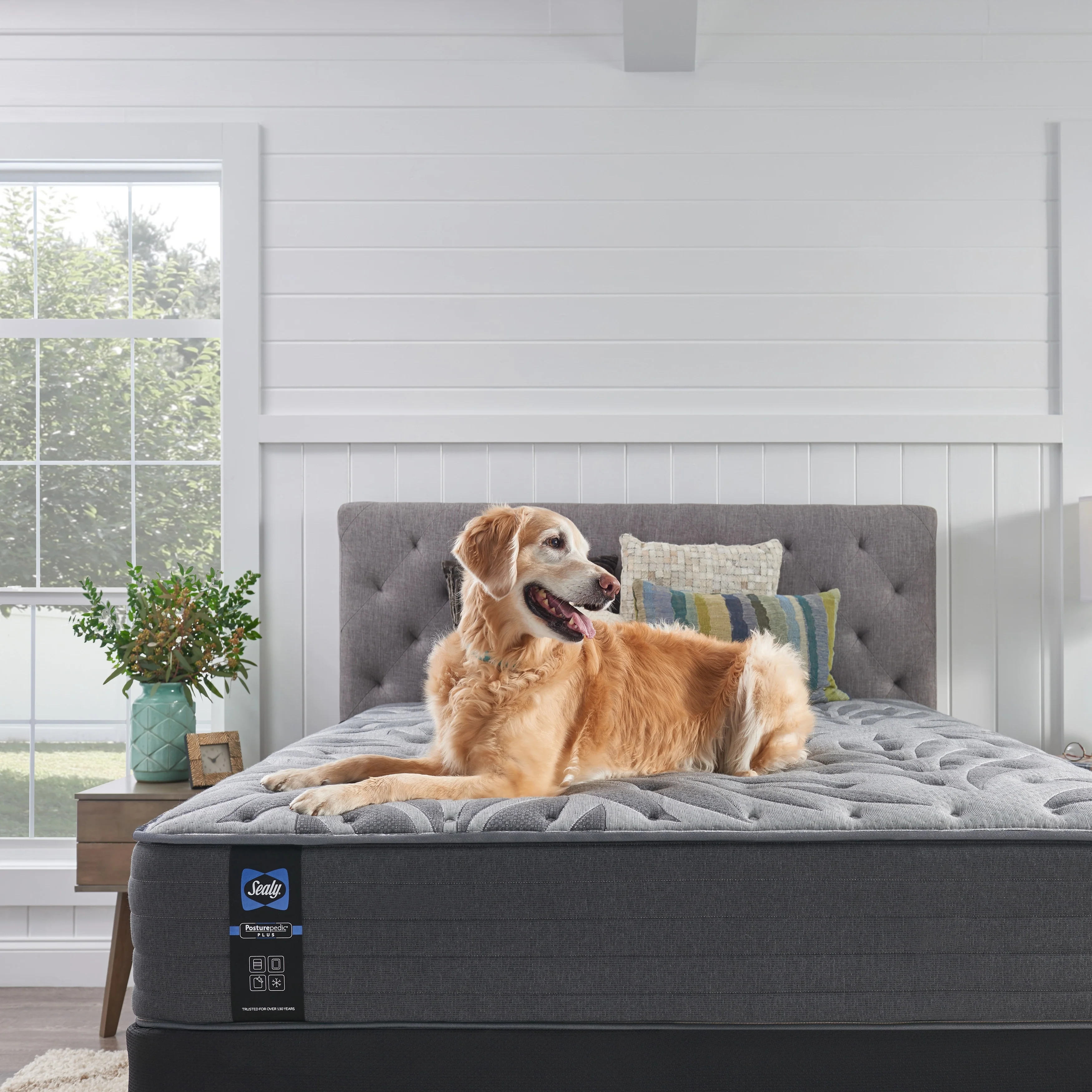 Sealy Posturepedic Plus Stamford 13-inch Spring Mattress