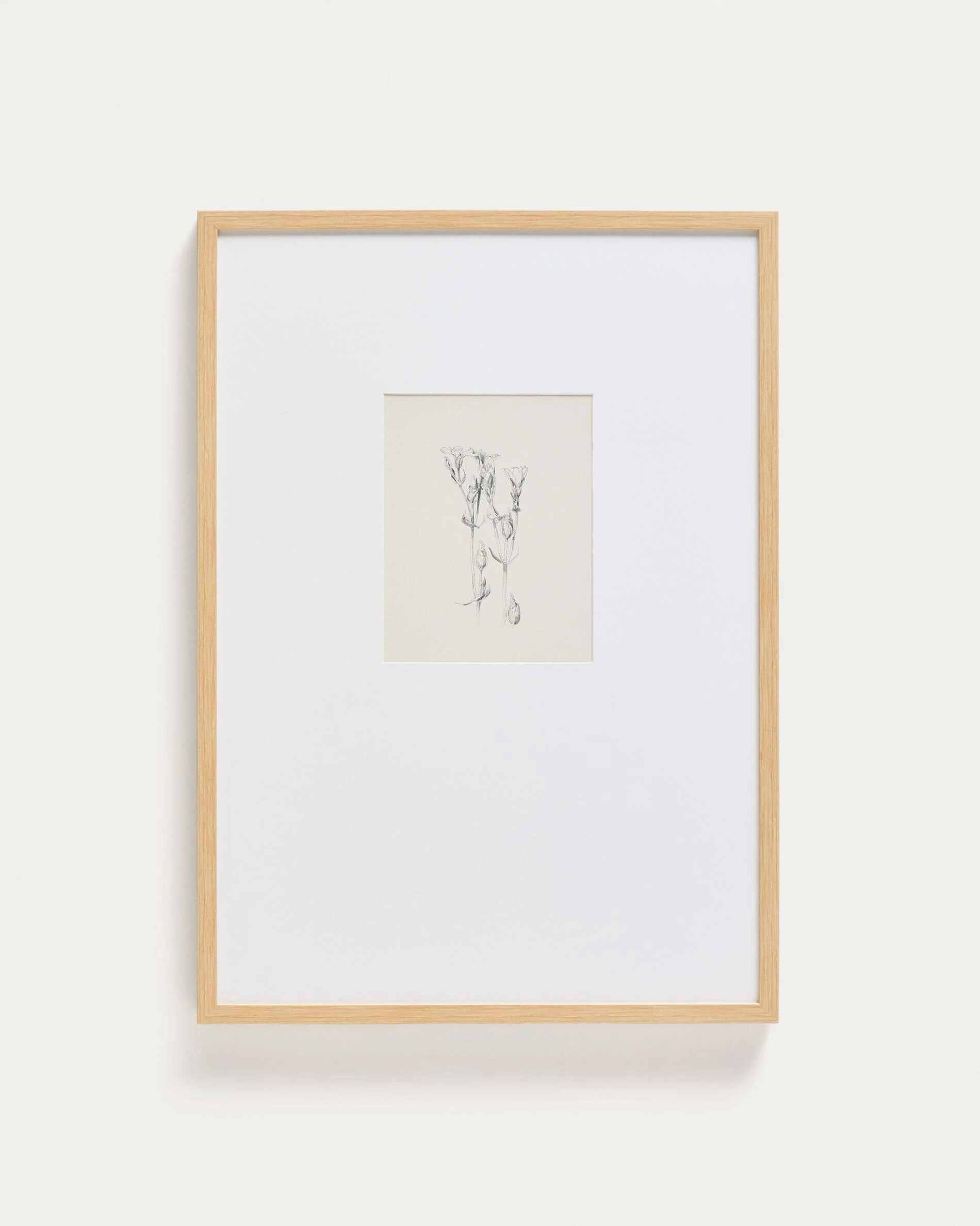 Lirena picture with botanical illustration 50 x 70cm