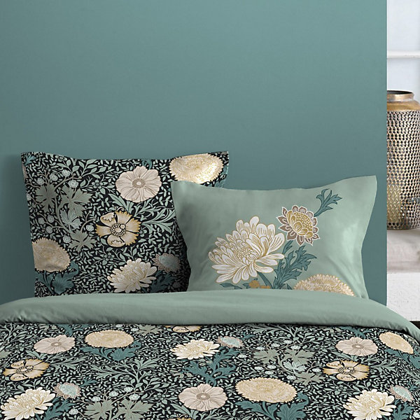 Housse de couette 260x240 ALFONS   2 taies coton 57 fils