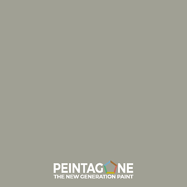 Fiche couleur (20 x 13 cm) - PE153 Elephant Skin
