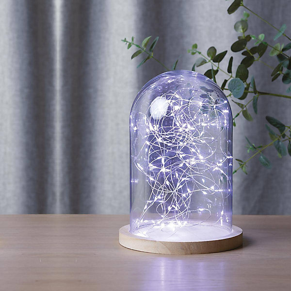 Guirlandes - 100 micro LED - argent et blanc froid - L1000 cm - Atmosphera