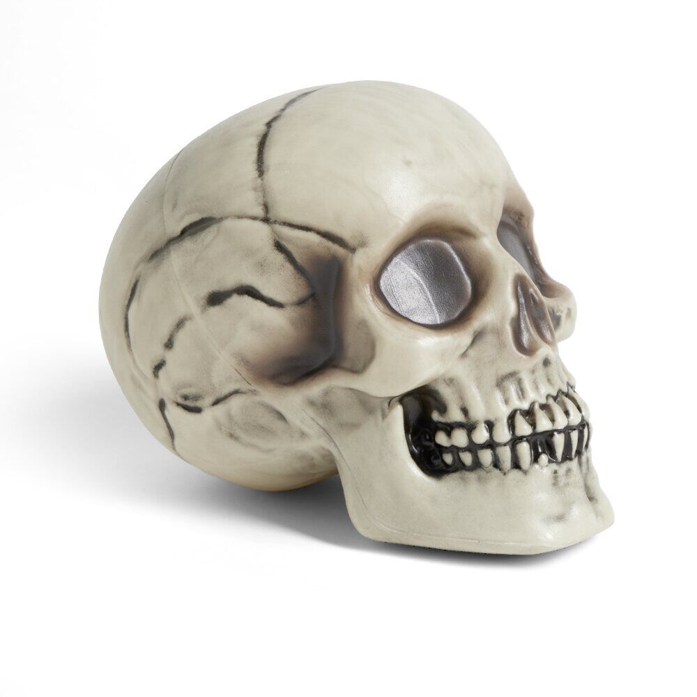 Crâne décoration Halloween 19x15xH16cm