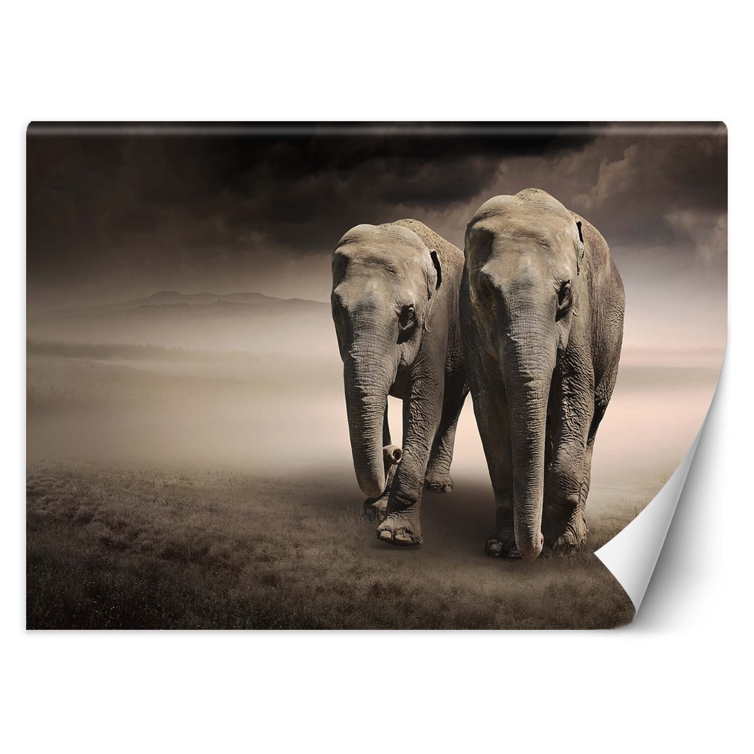 Feeby Fototapeta, Para słoni afryka 150x105