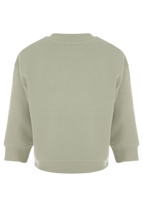 Younger Boys Light Green Cotton Rich Sweatshirt