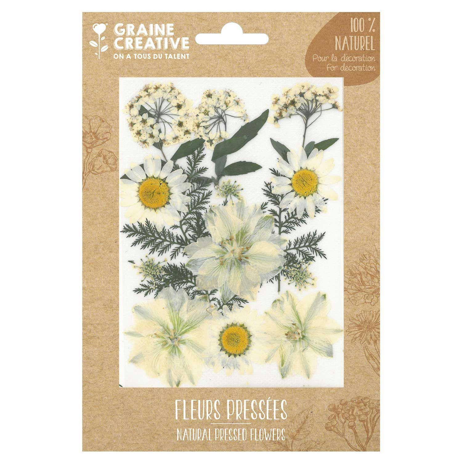 - 15 fleurs pressées - prairie blanche