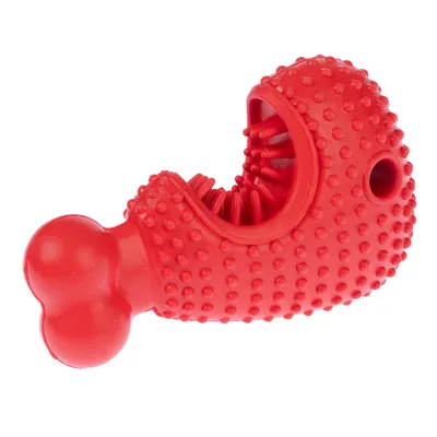 TIAKI Bone Fish Chew Toy