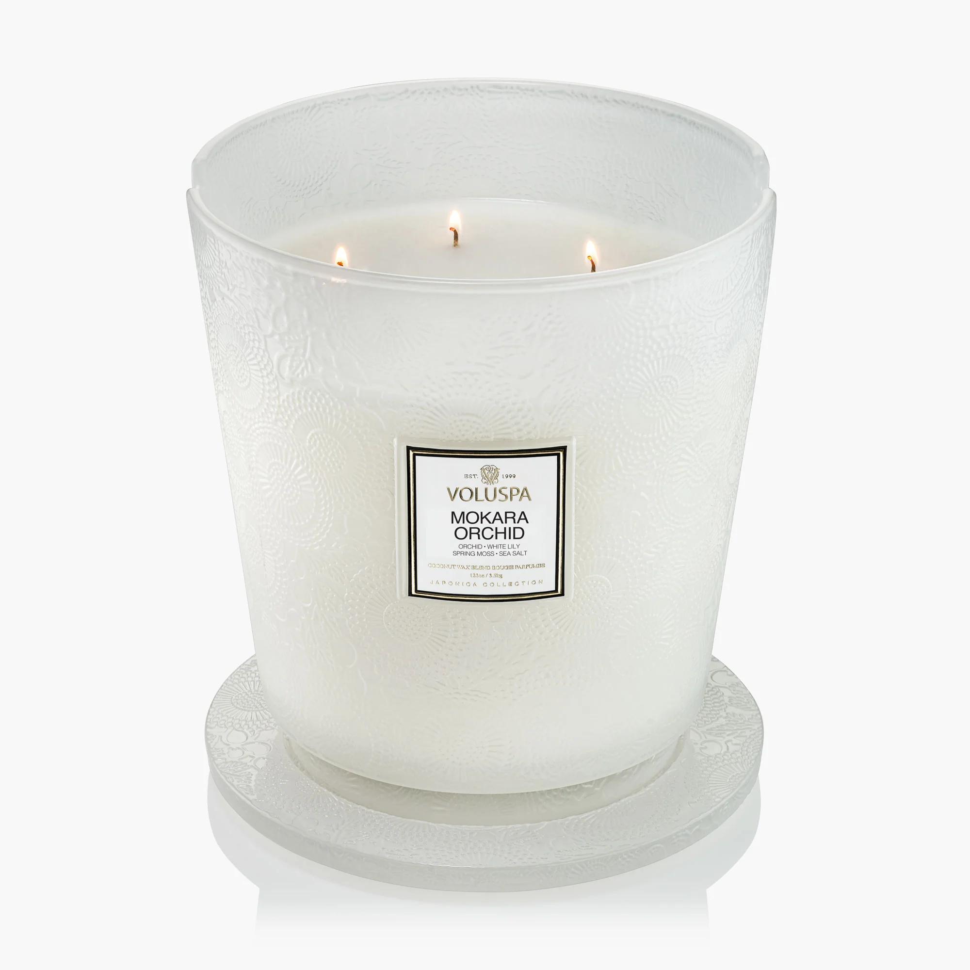 Mokara Orchid - 5 Wick Hearth Candle