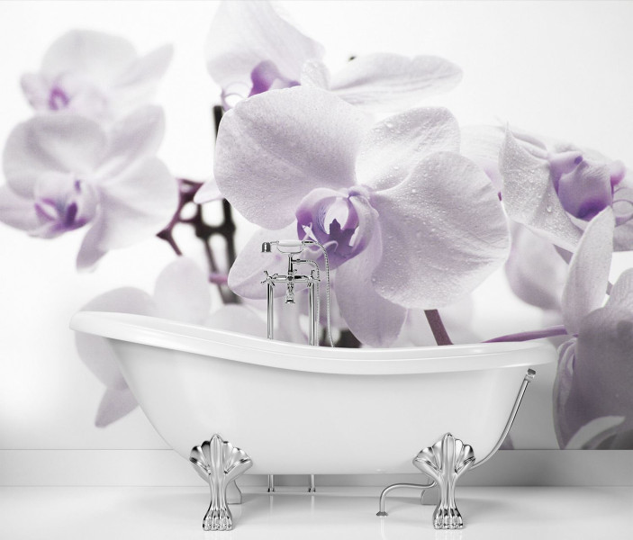 Feeby Fototapeta, Kwitnąca orchidea 150x105