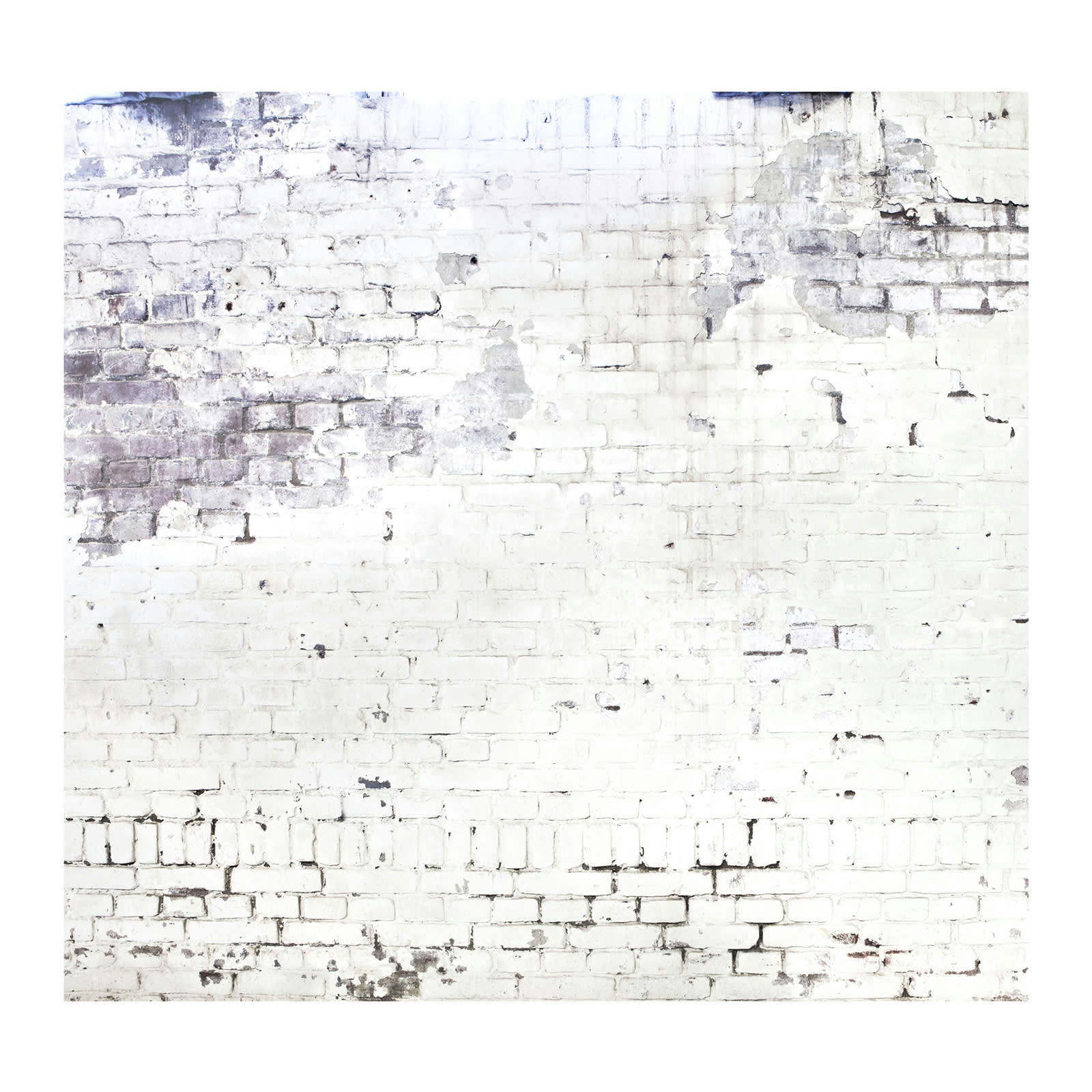 - Papier peint panoramique intissé mur briques loft blanc 300x300cm