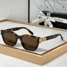 Dior  Hinge Design Acetate Fibre sunglasses