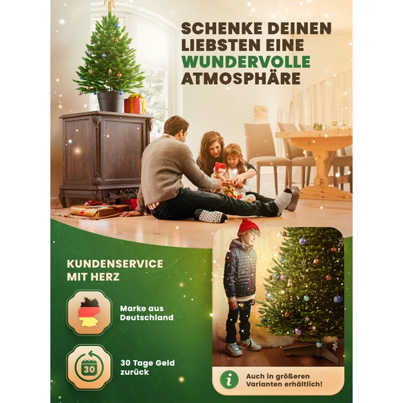 Weihnachtsbaum »Premium Tanne«, im Topf mit LED, 80 cm