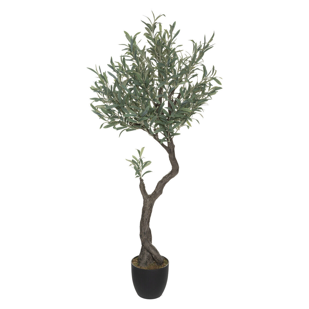 Planta oliveira com vaso 140cm