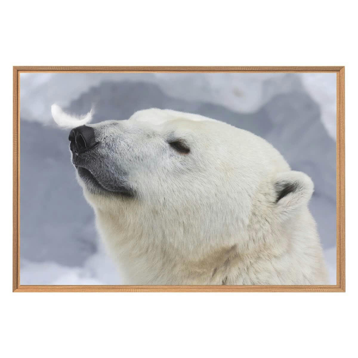 ANIMAUX - Tableau mural encadré ours blanc 65x97 cm
