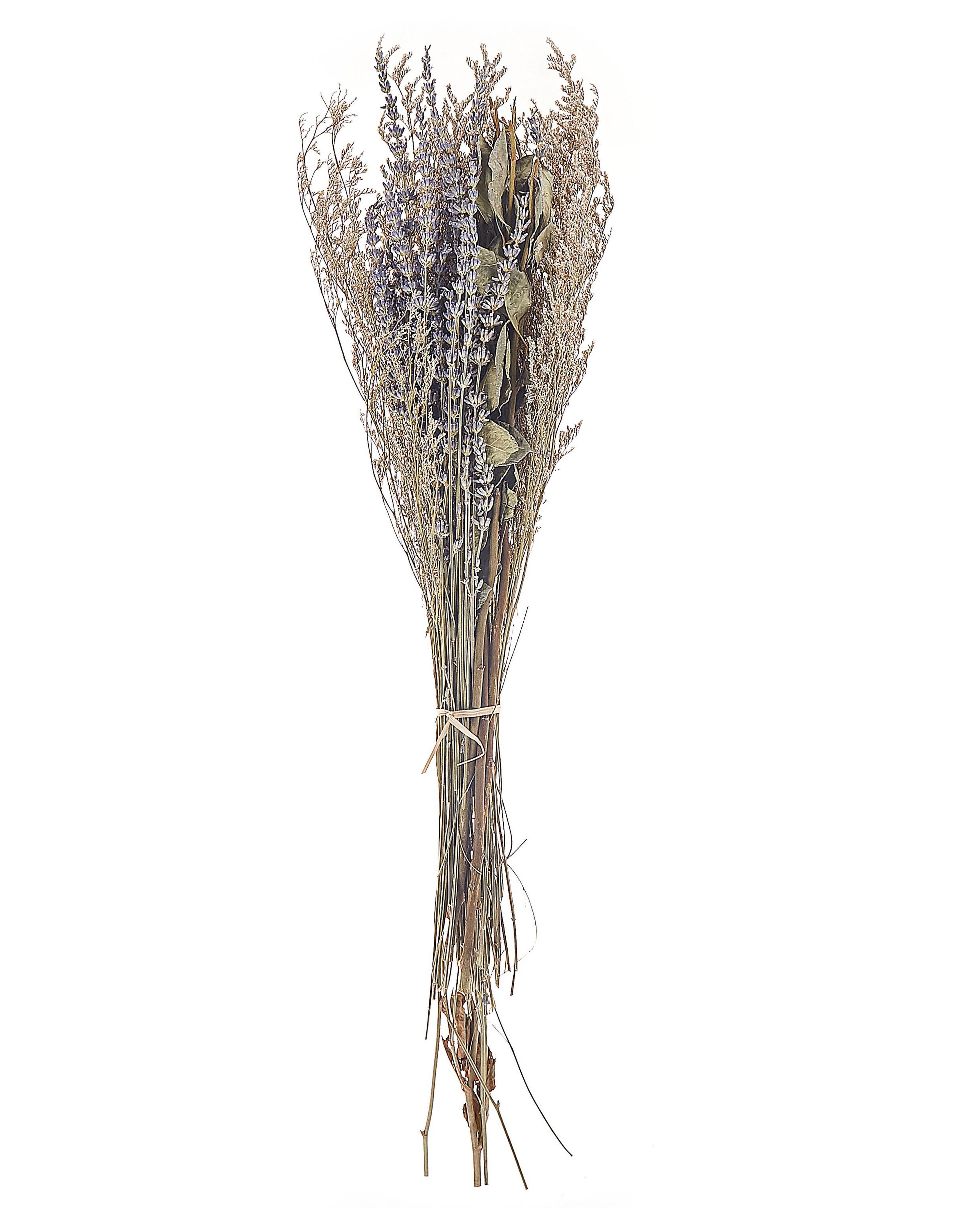 Dried Flower Bouquet NAWARRA 70 cm Natural