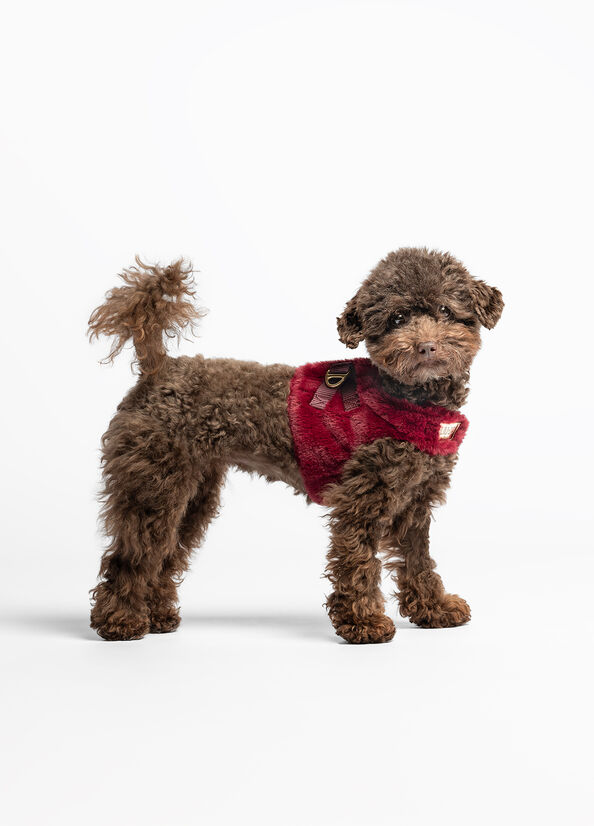 Pettorina in teddy Liu Jo Pets