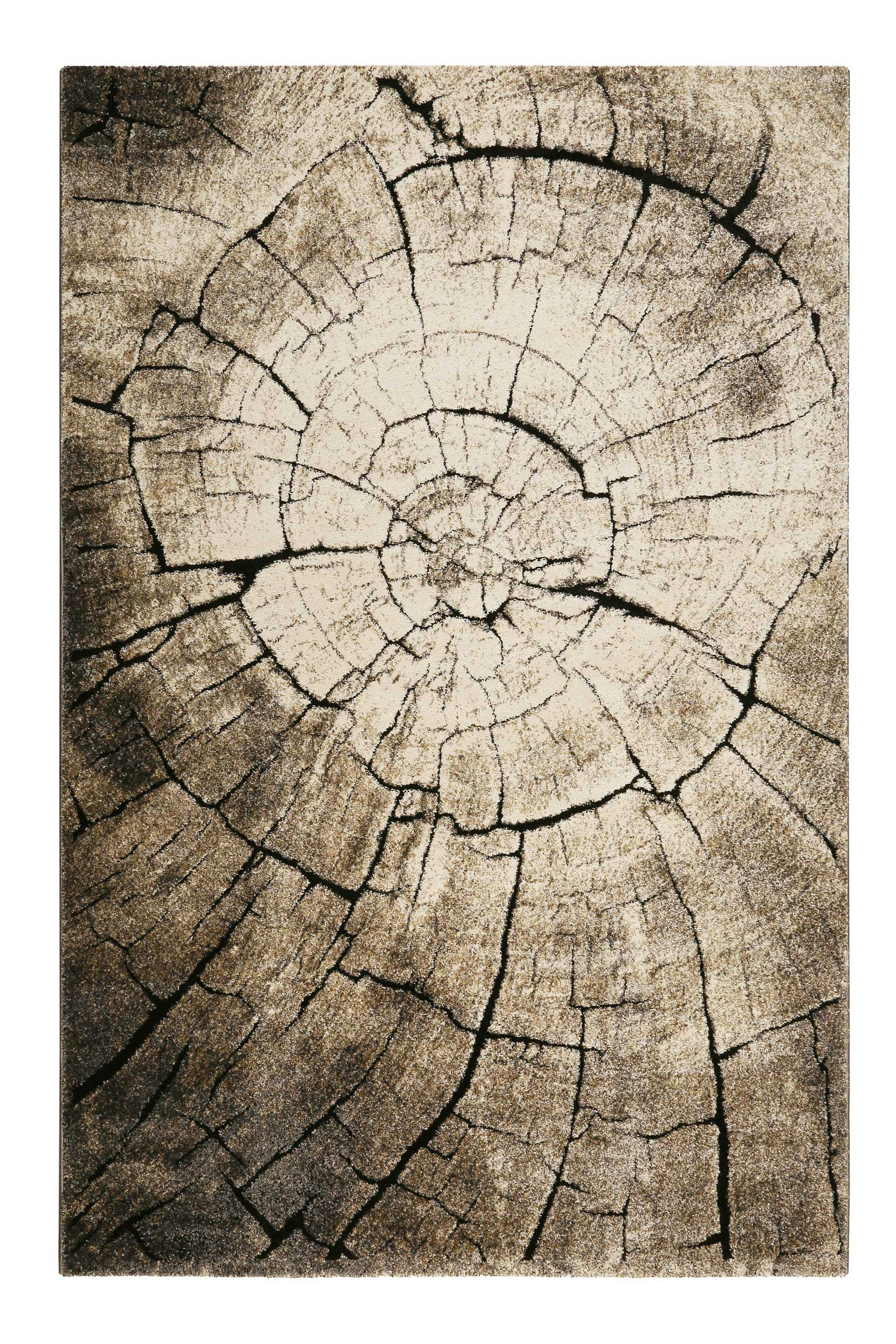 WILD OAK - Tapis motif tronc d'arbre marron et noir pour chambre, salon 170x120