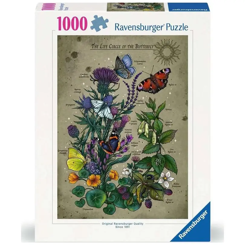 Puzzle 1000er-Set Lifecircle Butterfly