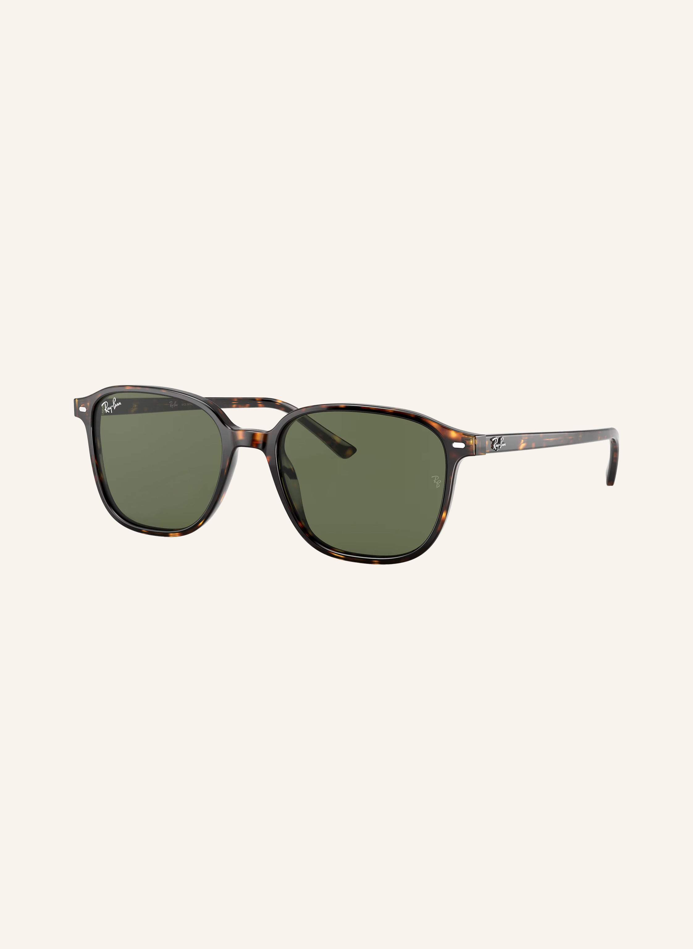 Ray-Ban Sonnenbrille RB2193 LEONARD