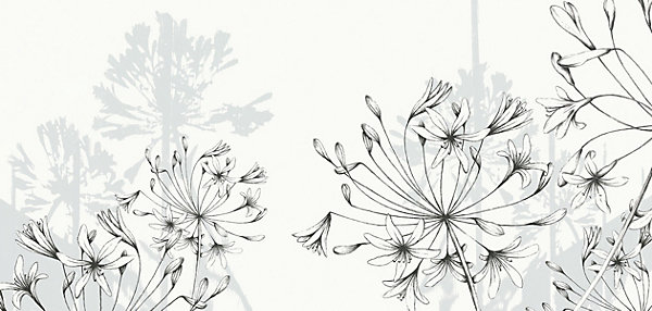 Papier peint panoramique Agapanthes, Couleurs 150 x 250cm