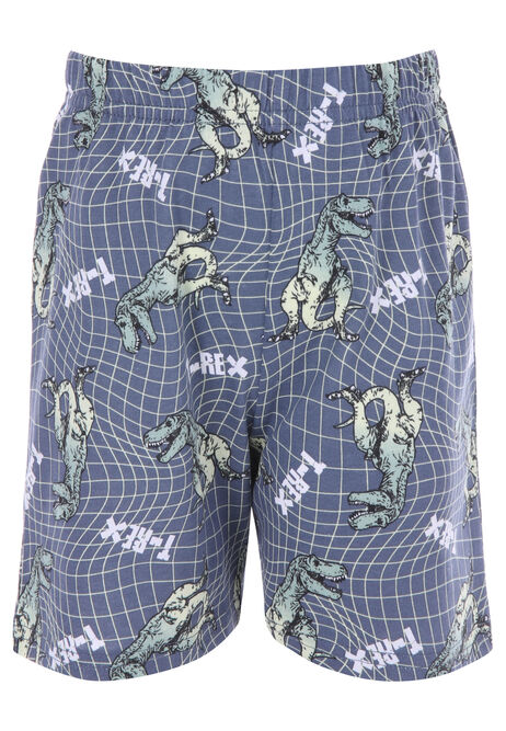 Younger Boys Blue Dinosaur Shorts Pyjama Set