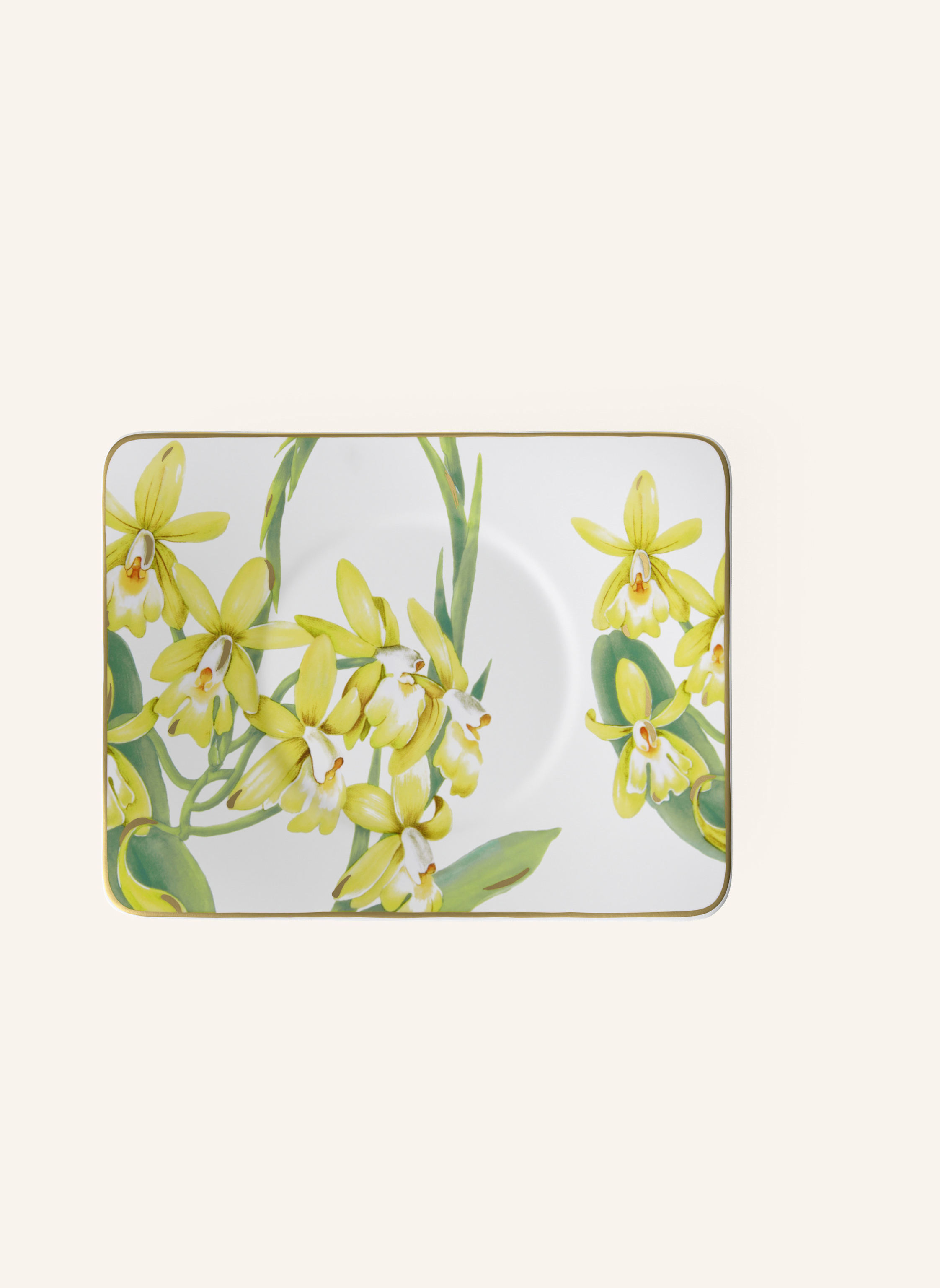 Villeroy & Boch Tee-Untertasse AMAZONIA
