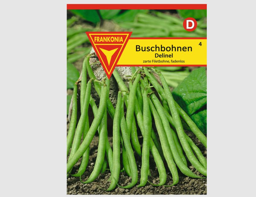 Buschbohnen Delinel