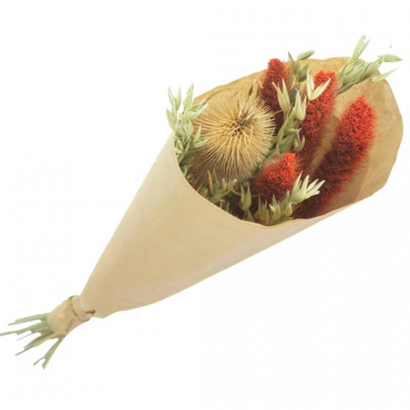 - Mini bouquet de fleurs séchées déco 50 cm