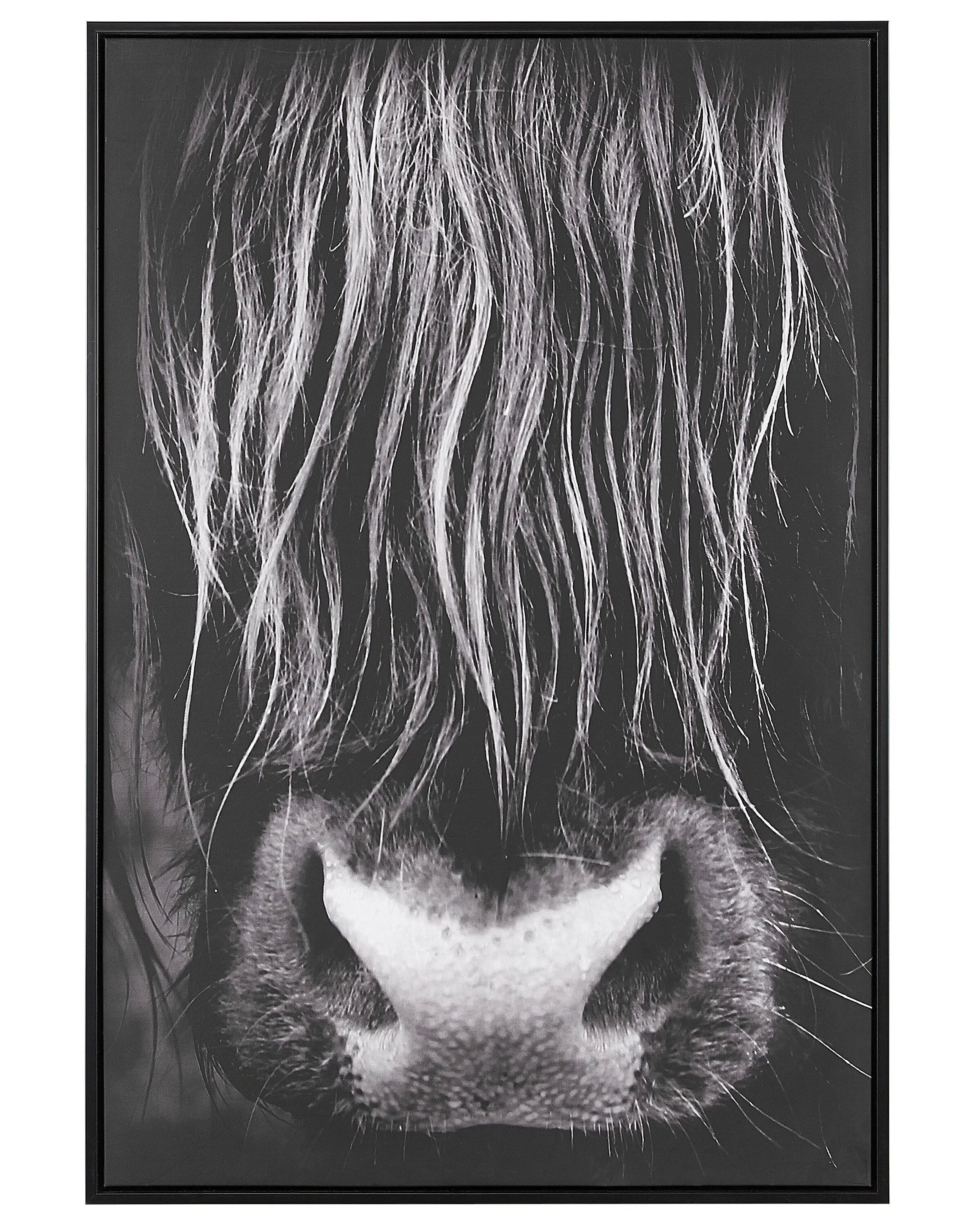 Canvas GALEATA Animal Motif 63 x 99 cm Black
