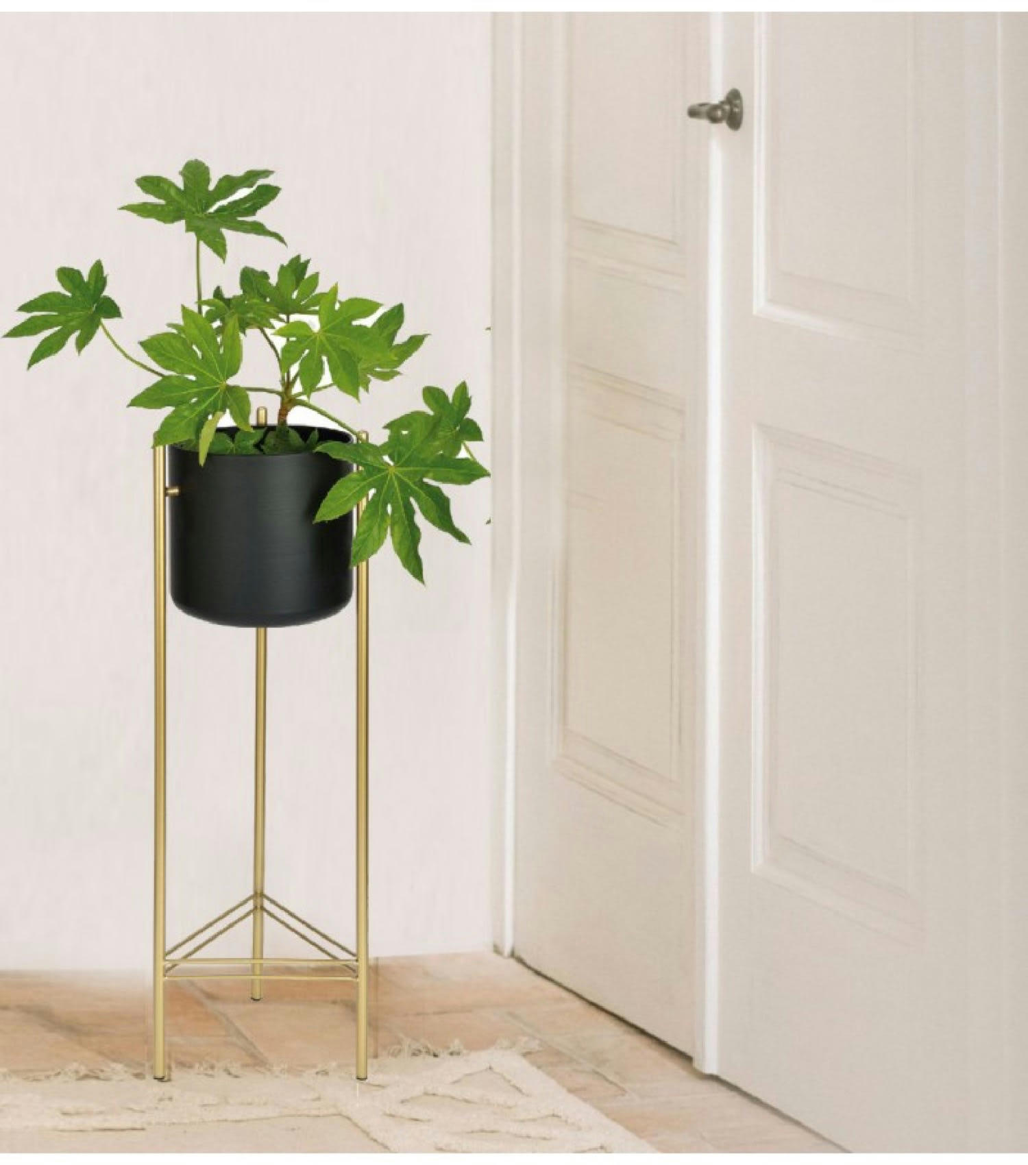 OR - Cache-pot sur pied en métal doré et pot noir H66cm