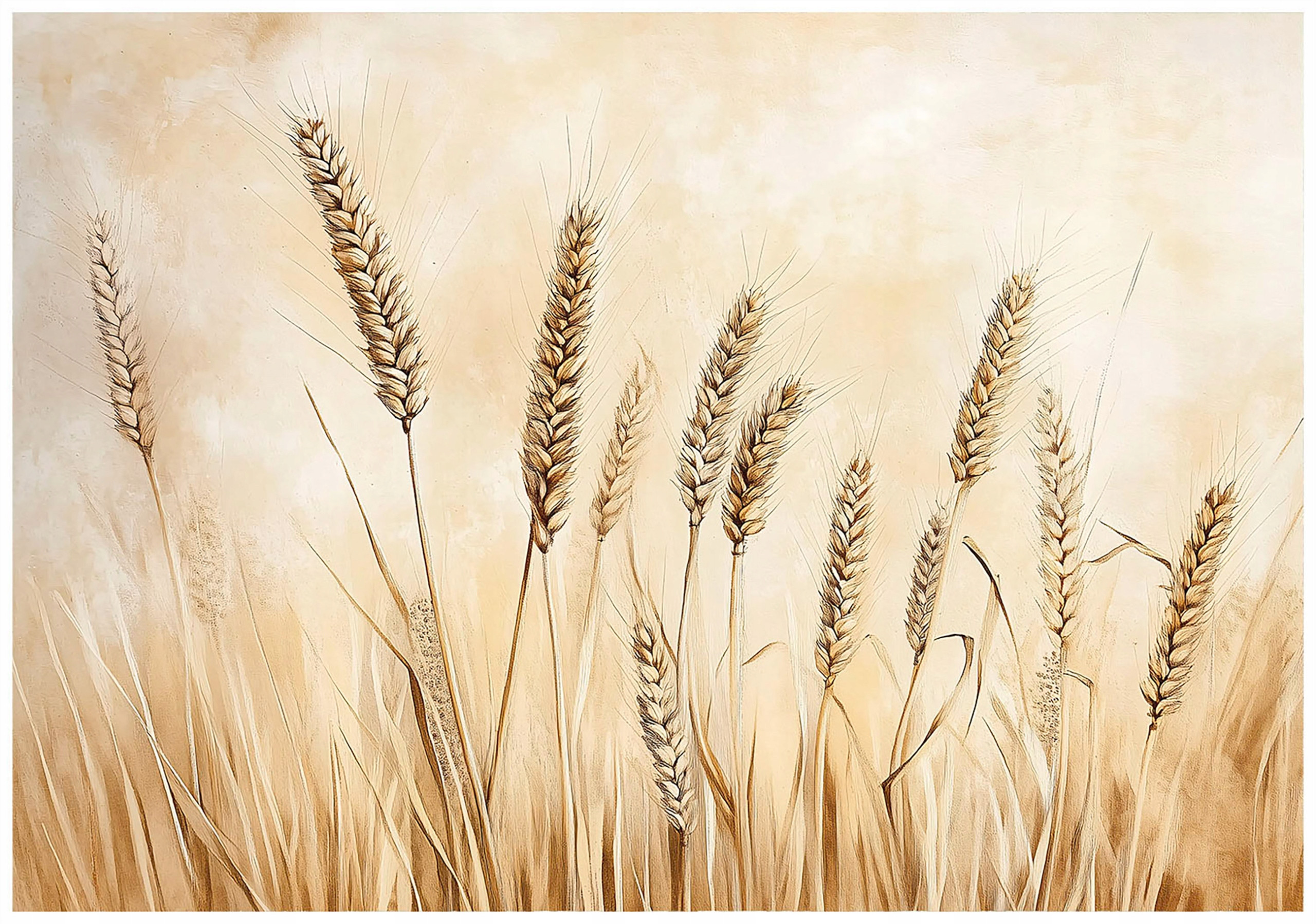 Fototapeta Boho Pole Beżowa Natura Sypialnia Salon Tapeta Flizelina 250X175