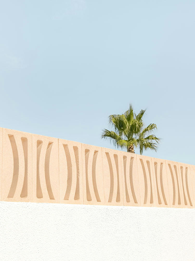 MUR TROPICAL - Photographie d'art de Laura Sanchez 60x80 cm sur plexi