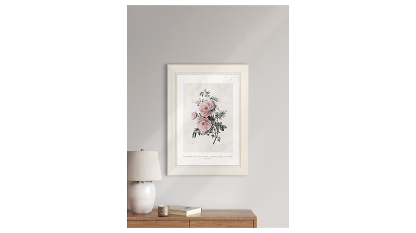 Obraz w ramie Aged Roses Art. No.1 63x83 cm