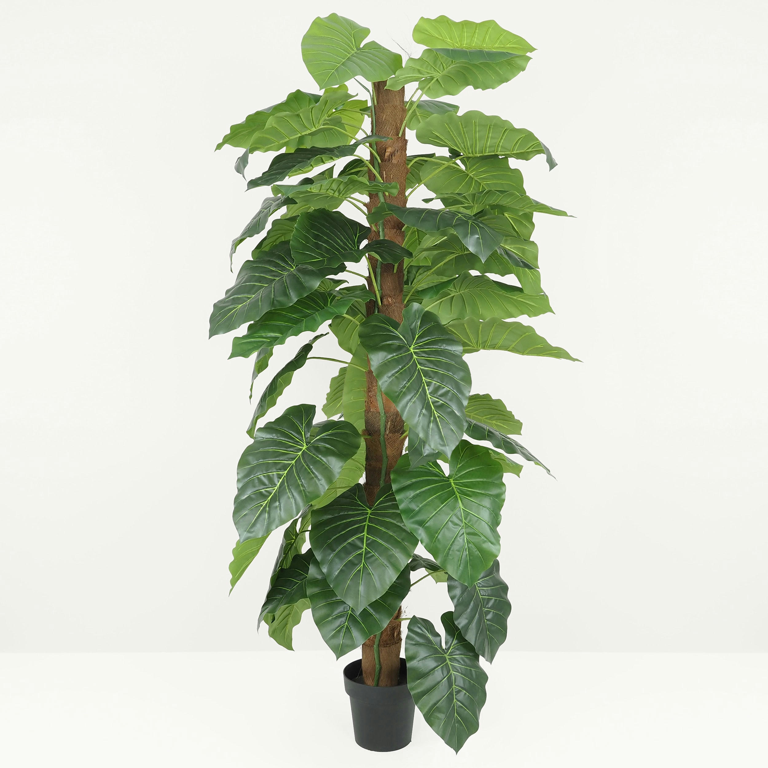 - Philodendron artificiel tronc coco 180cm
