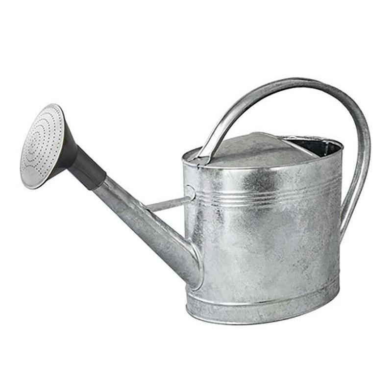 - Arrosoir acier galvanisé avec pomme 13 litres
