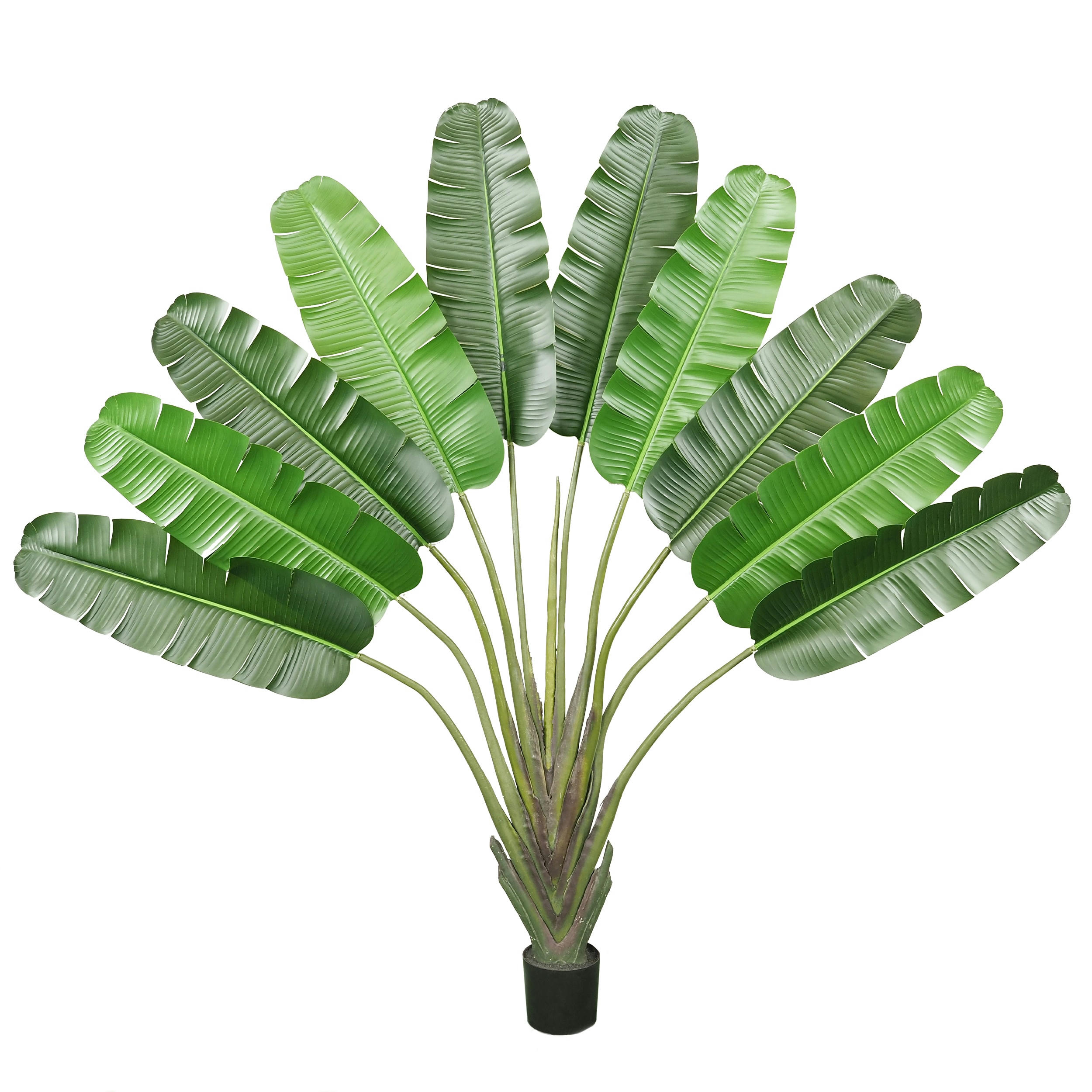 - Arbre du voyageur artificiel 