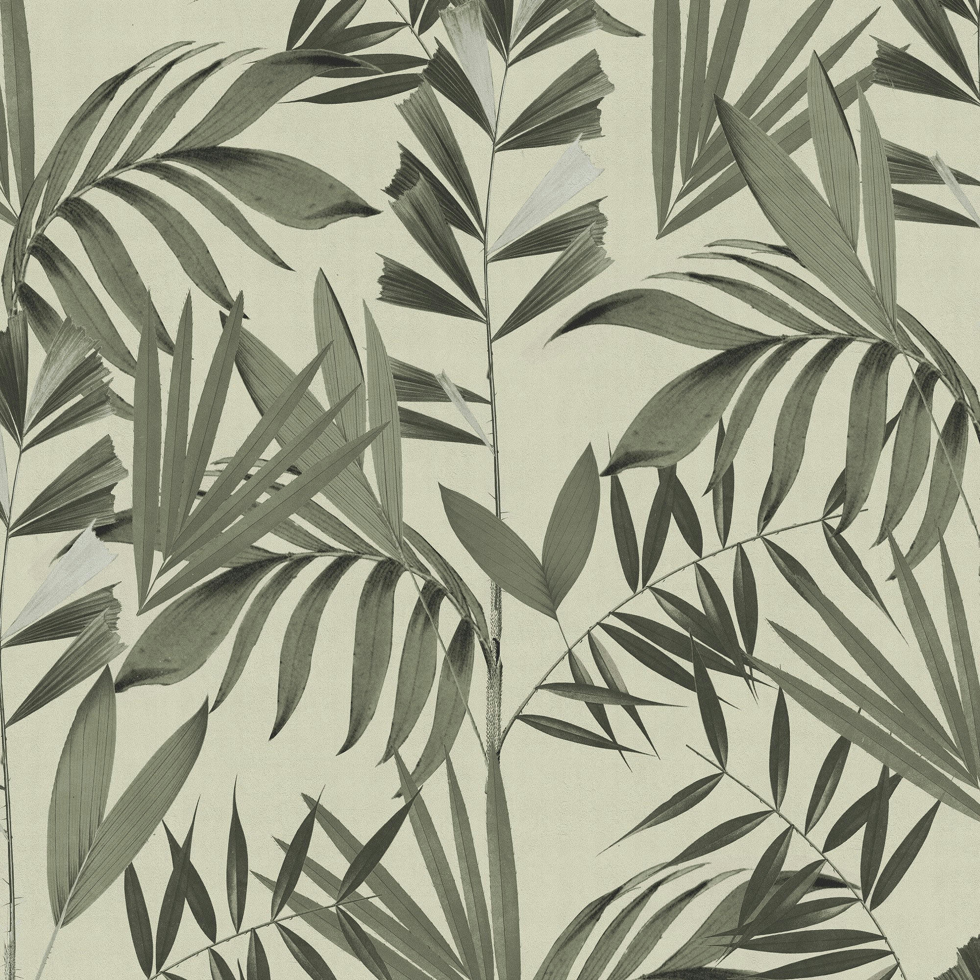 - papier peint végétal japon vert 1005x52cm