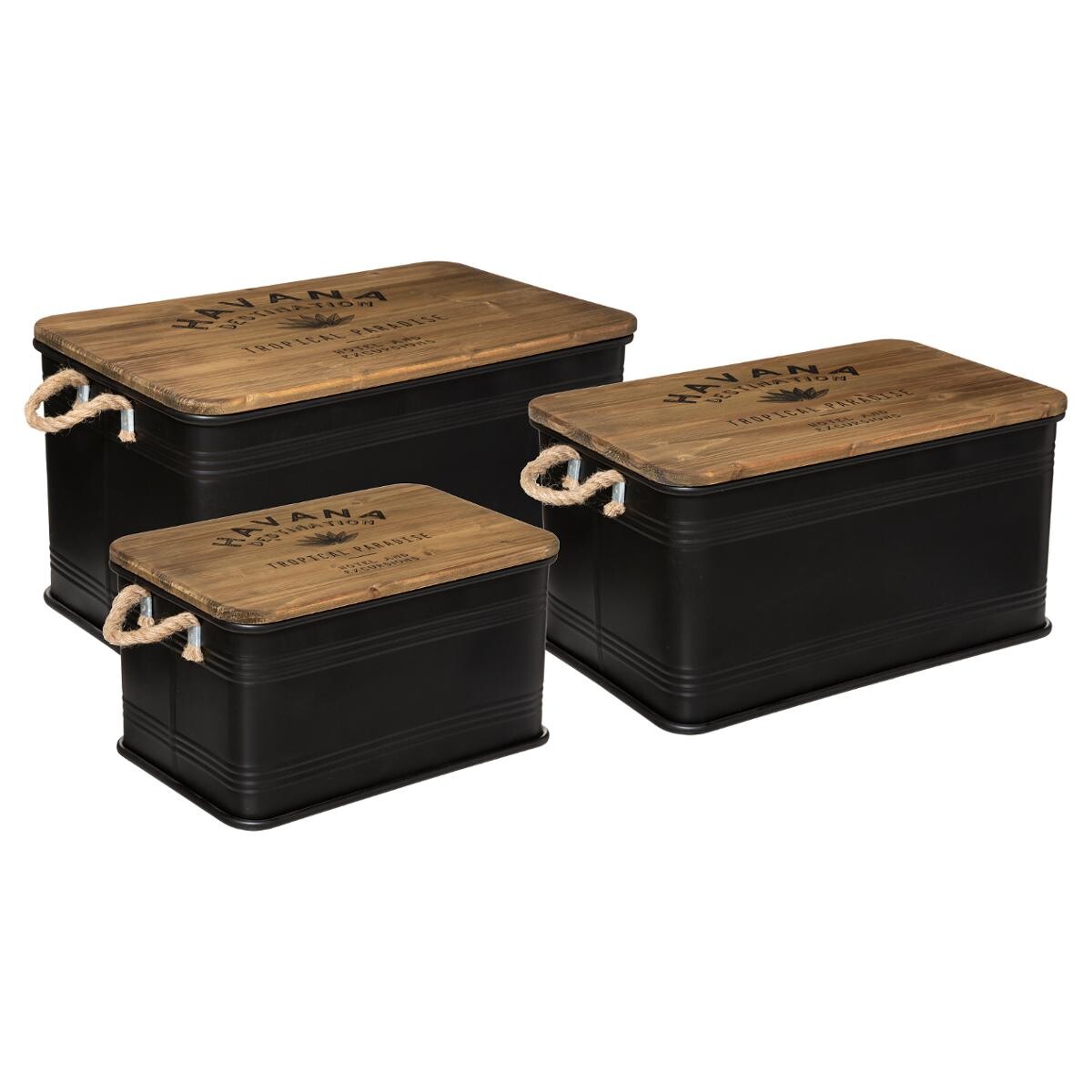 Set 3 trunks "Cuba" L.45/54/60 cm